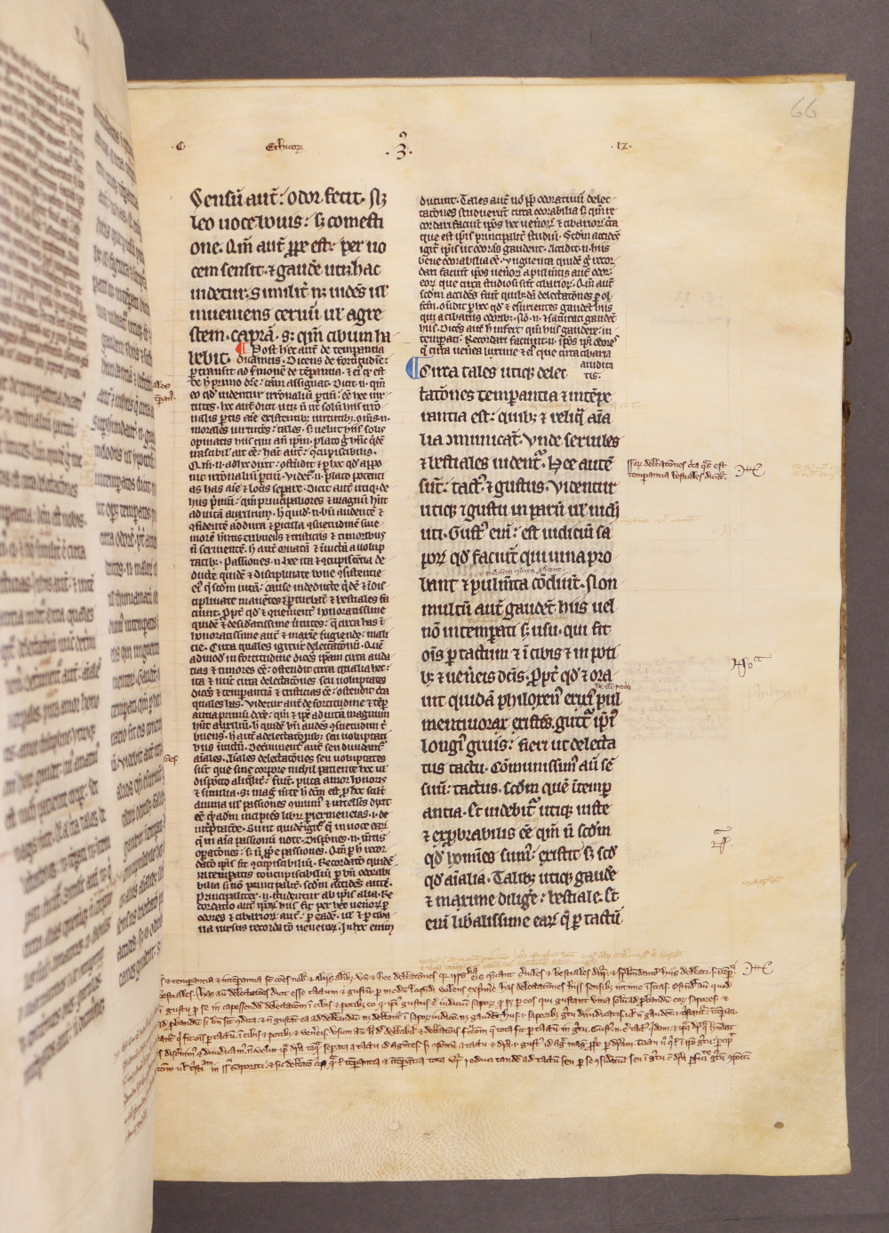 Folio 66 recto